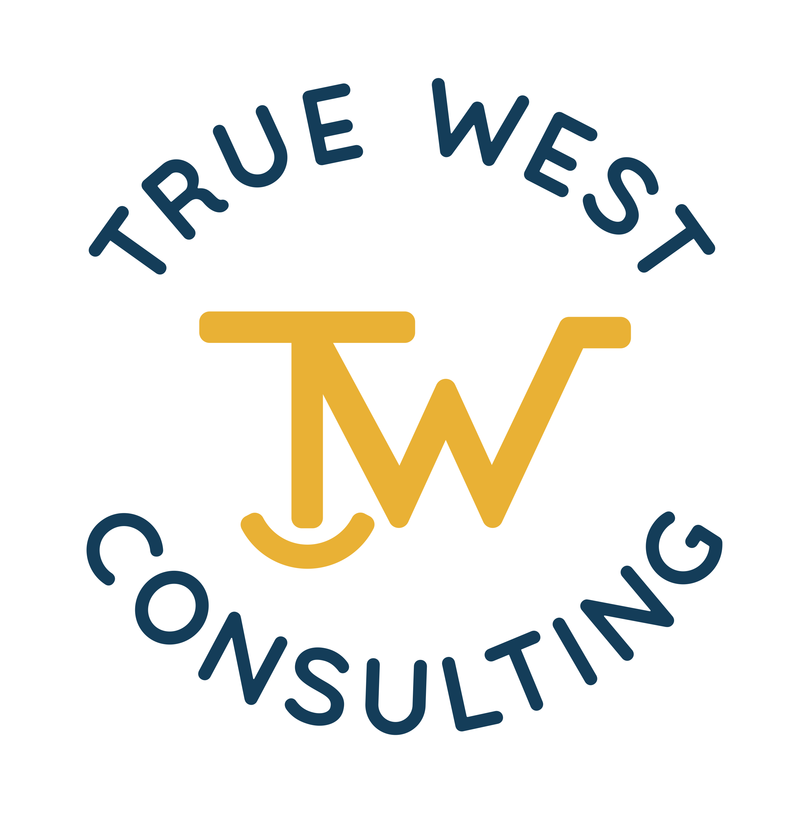 True West Consulting Logo