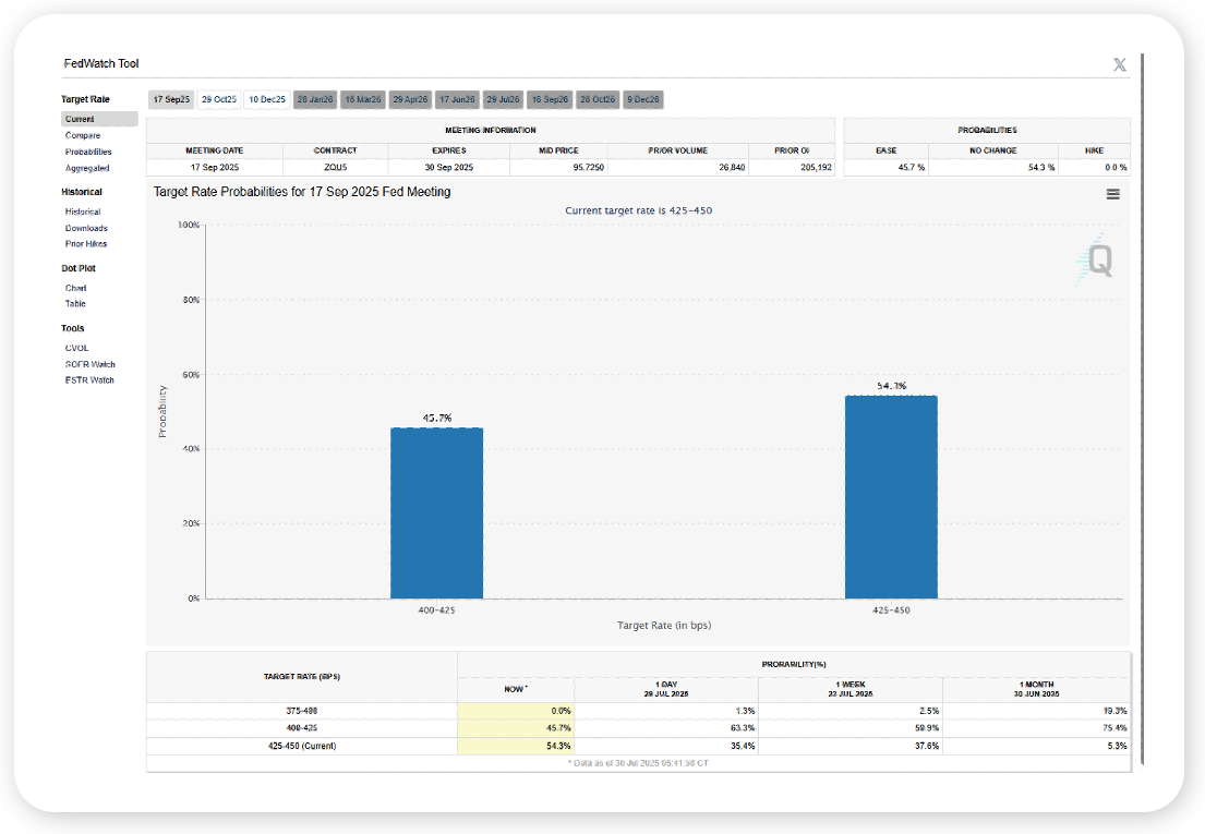 CME Group Target Rate Possibilities July 2025