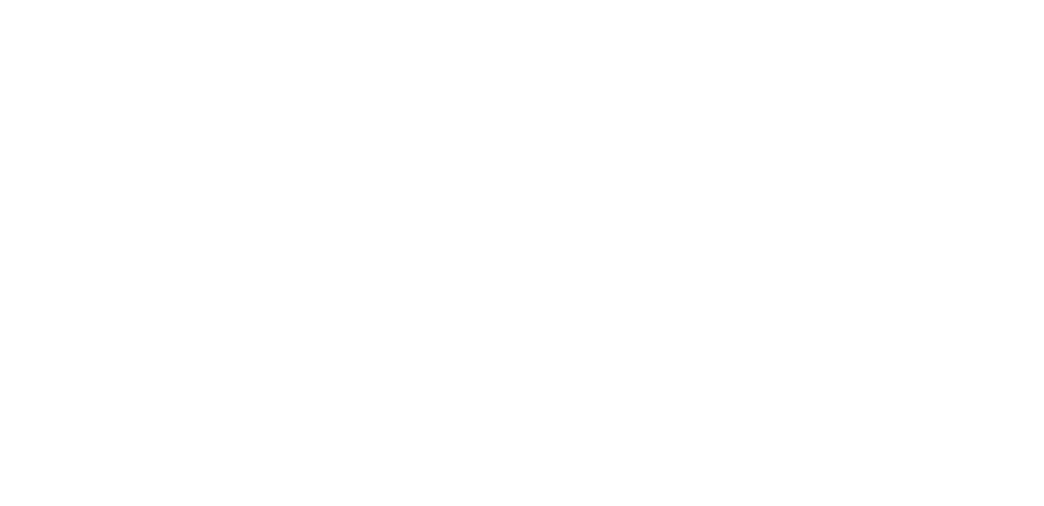 Orion Portfolio Solutions Logo