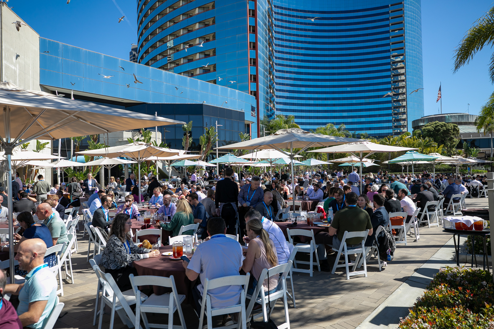 Lunch on the terrace