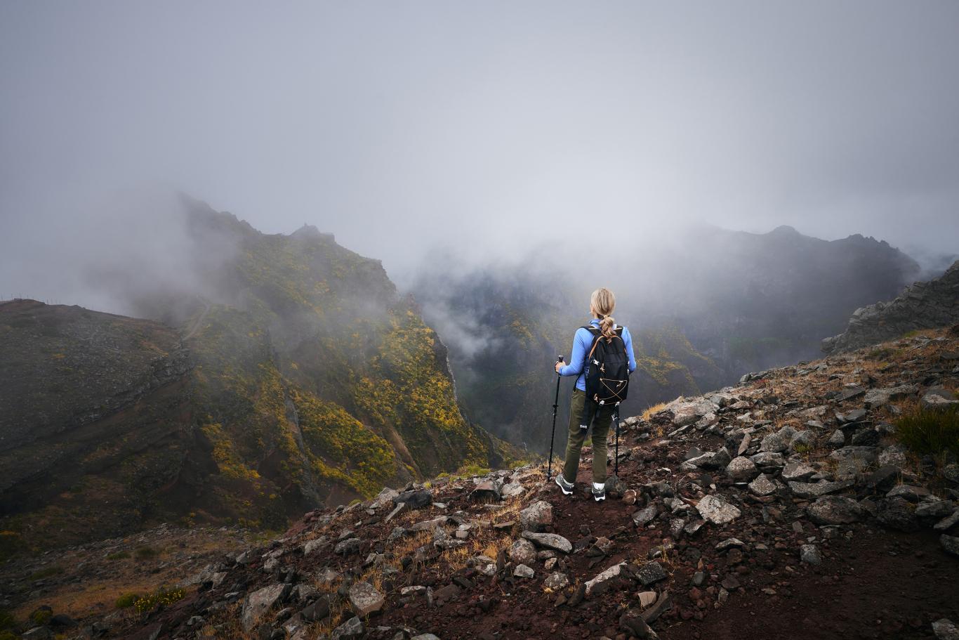 Managing Market Volatility Orion