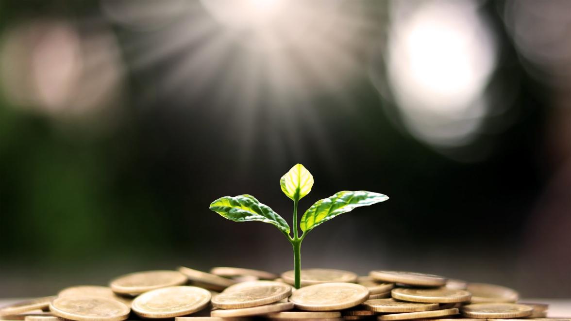 plant-a-tree-on-coin-pile-with-business-ideas-for-finance-saving-and-economic-growth