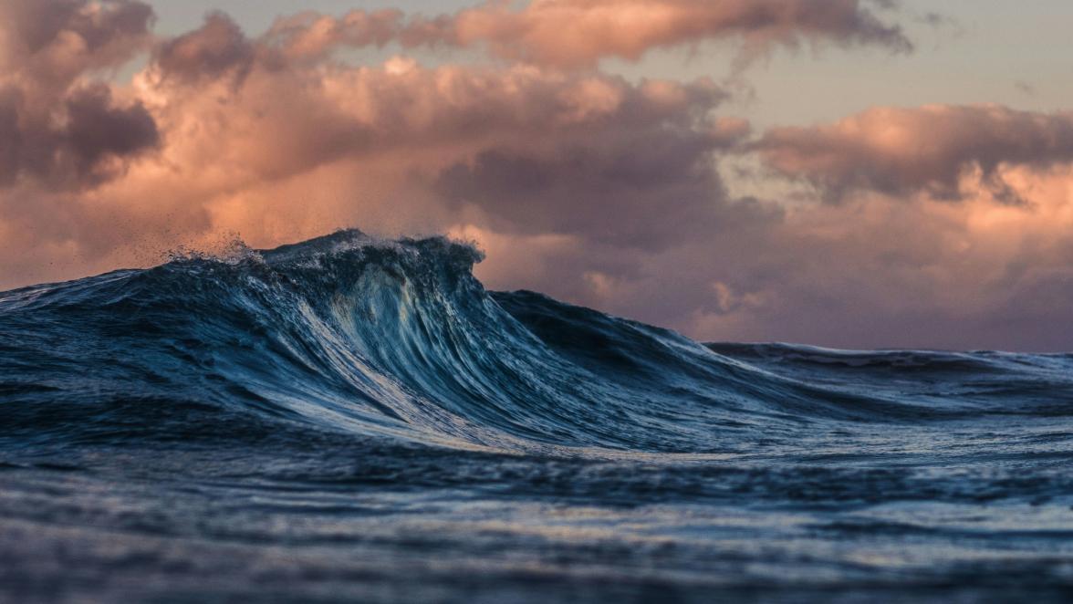 Do Investors Really Want Rate Cuts? | Try Asking Investors These Questions | The Biggest Wave: ETFs