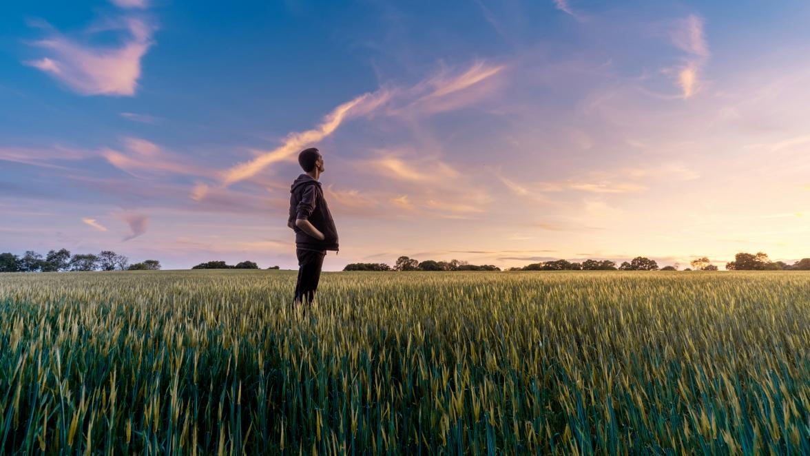 Man in field watching the sky