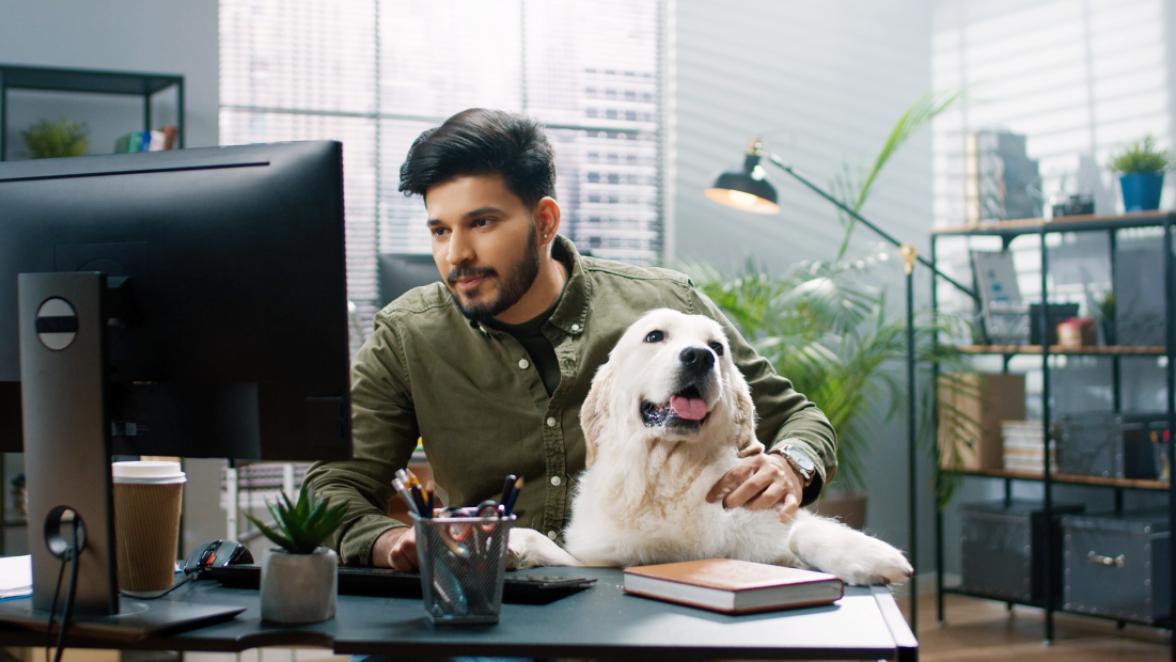 Man and dog at office desk