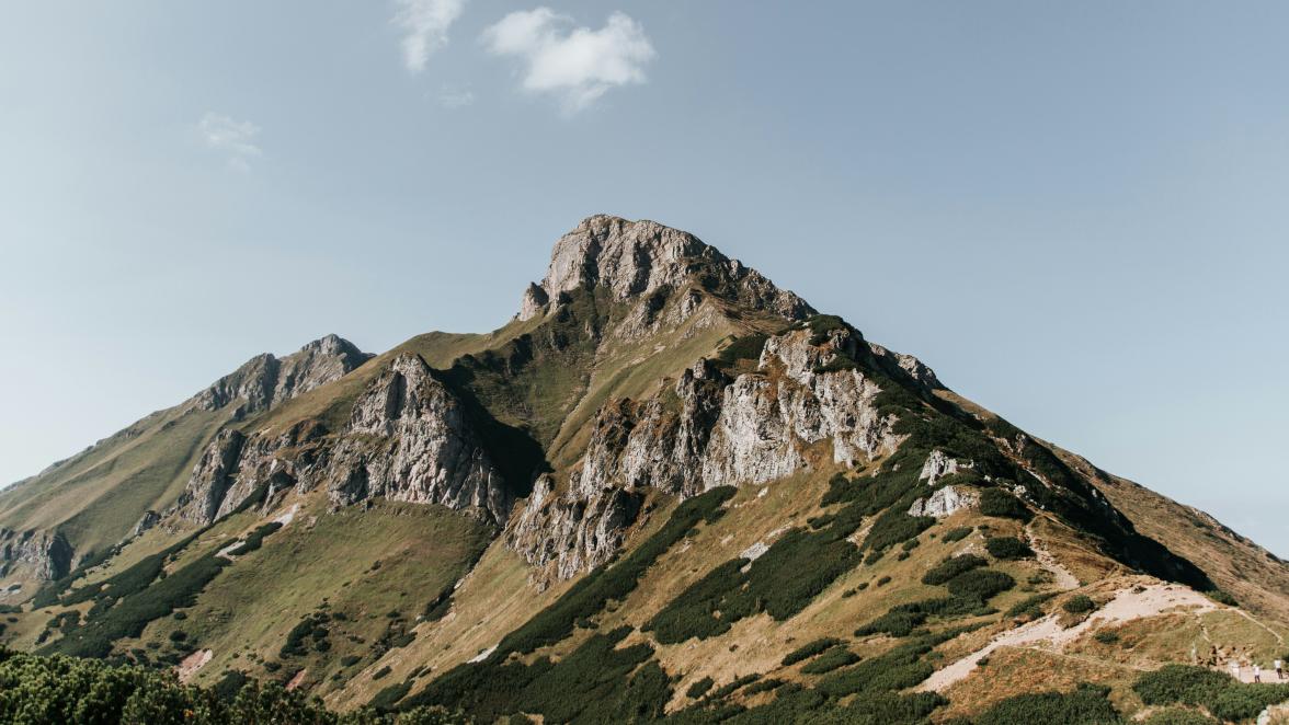 Peaks & Troughs Header