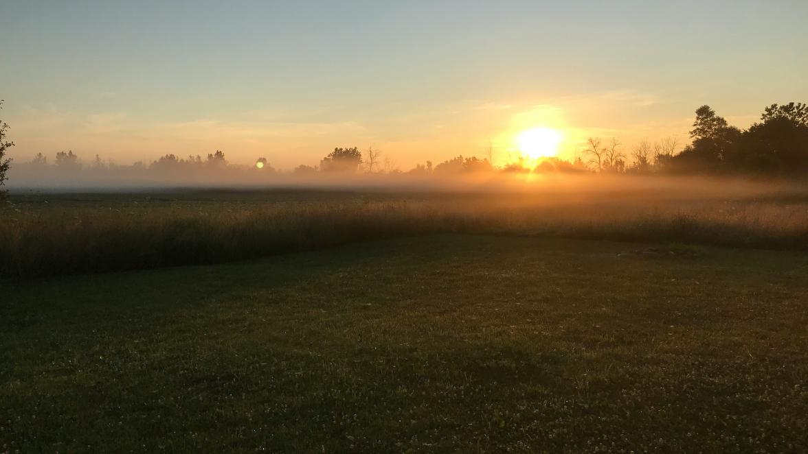 Sunrise over field