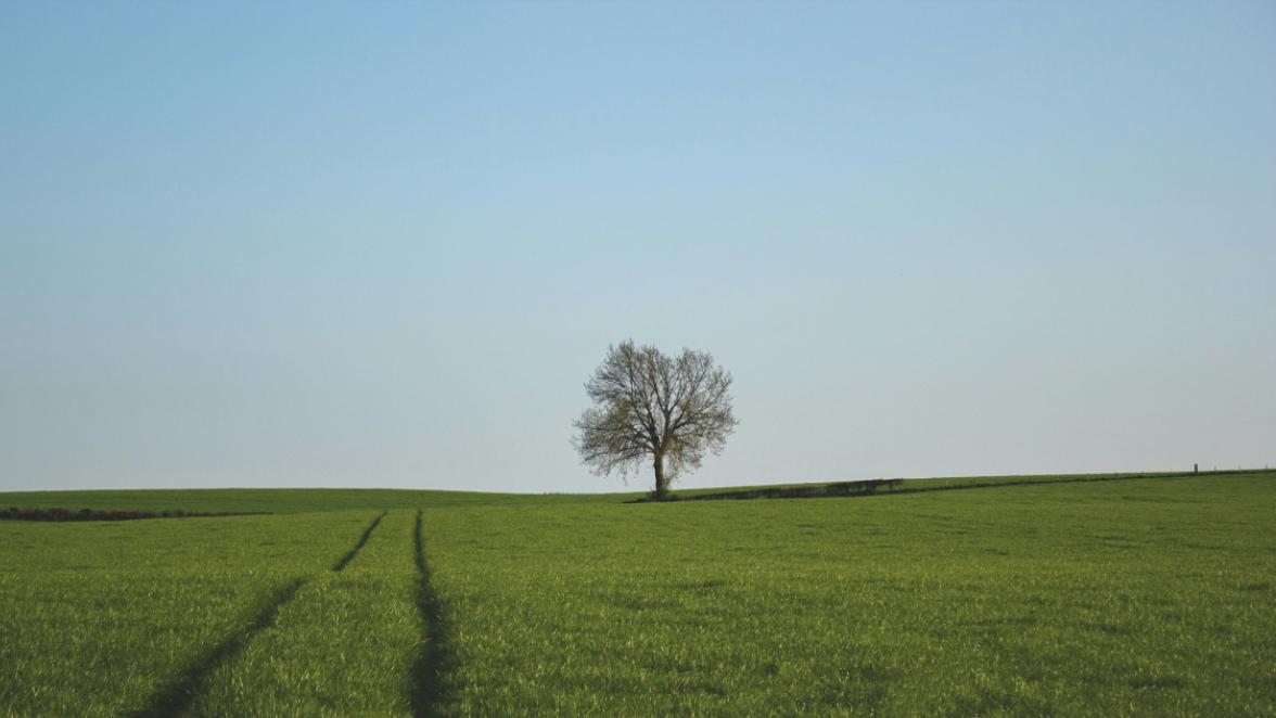 Banner photo