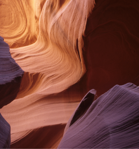 Turning Orion Data into Insights with AI