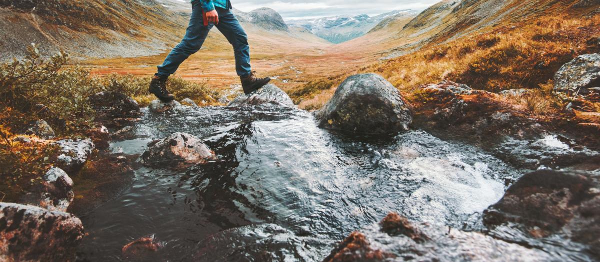 Weekly Wire: 1.13.25