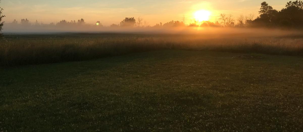 Sunrise over field