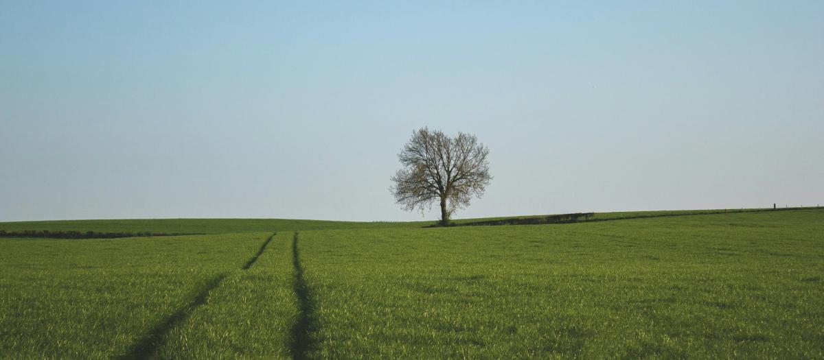 Banner photo