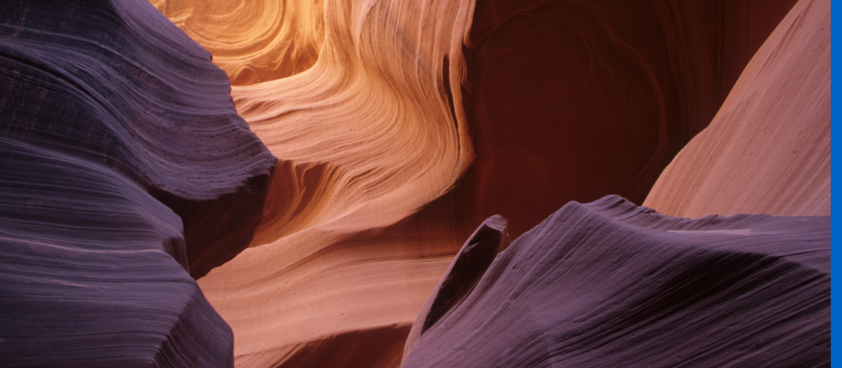 Turning Orion Data into Insights with AI