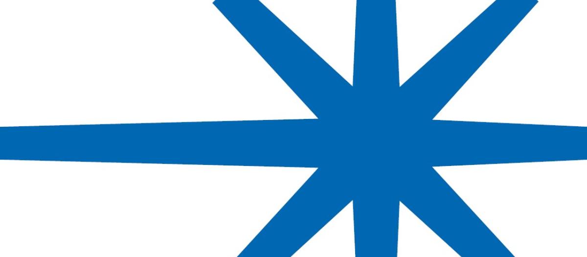 Orion Logo