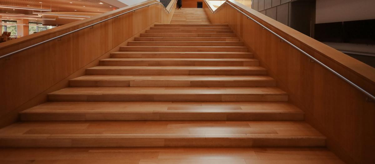 Image1