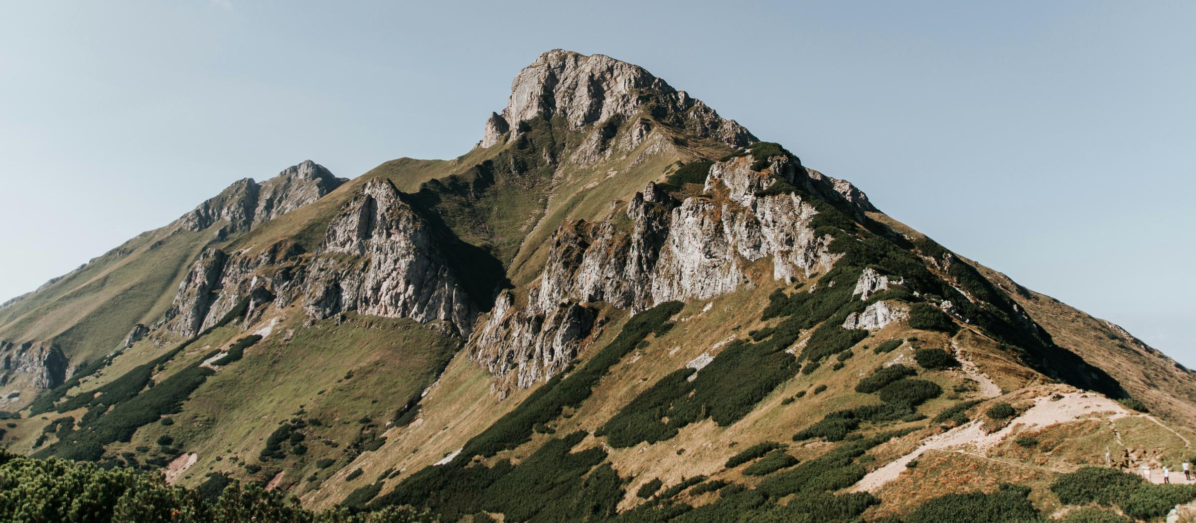 Managing Market Volatility Orion