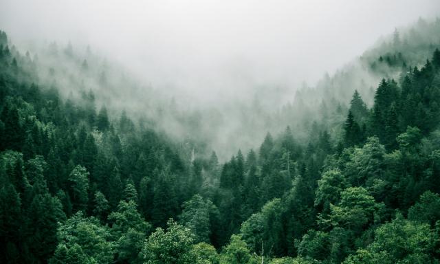 Weekly Wire: 9.9.24