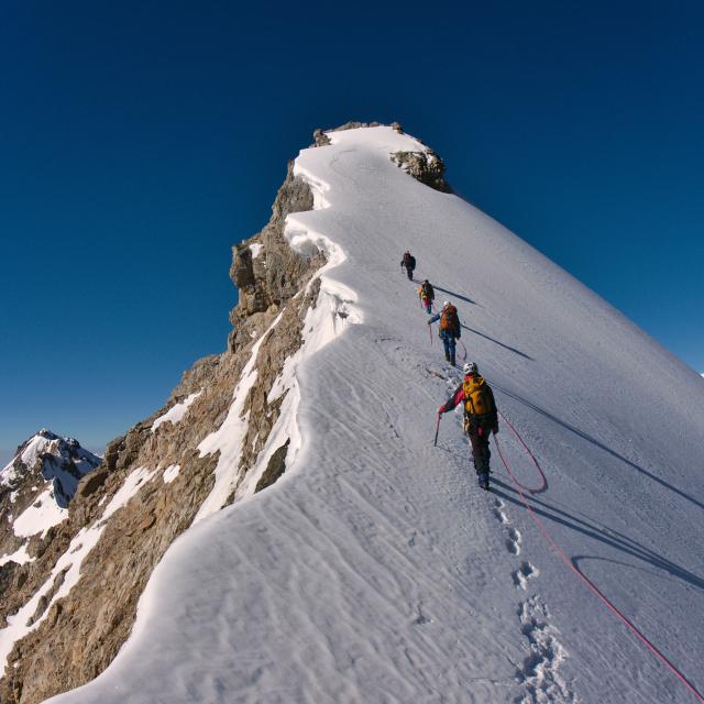 Weekly Wire: 2.18.25