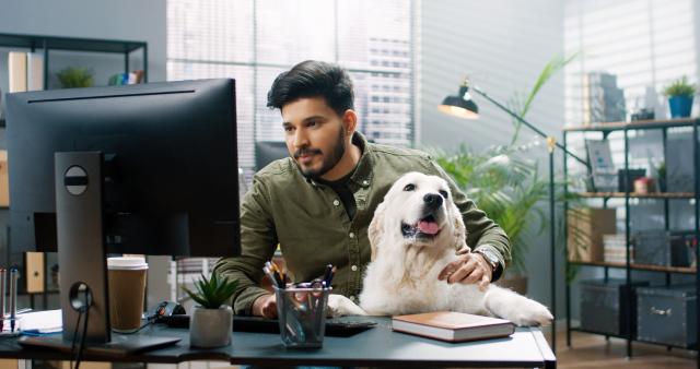 Man and dog at office desk