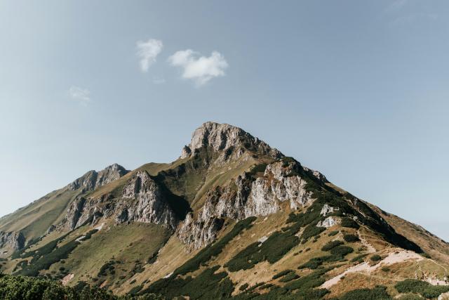 Peaks & Troughs Header