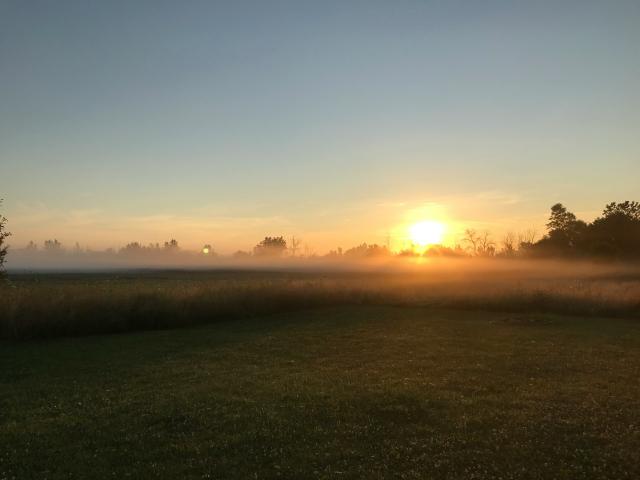 Sunrise over field