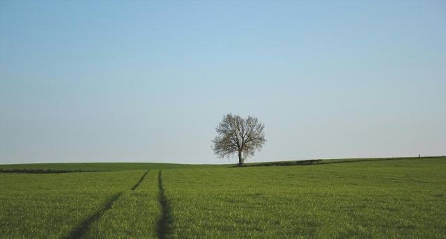 Banner photo