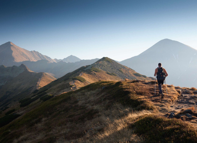 Independent Advisor Looking out at Opportunities