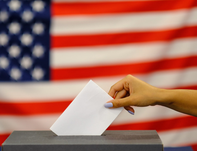 An image of a person casting a ballot