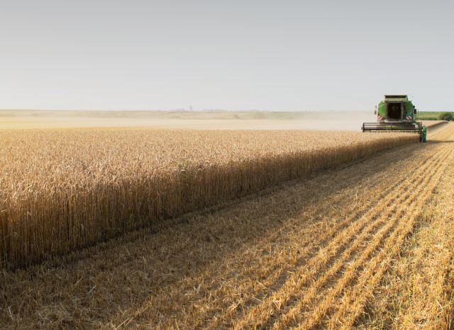 Crops