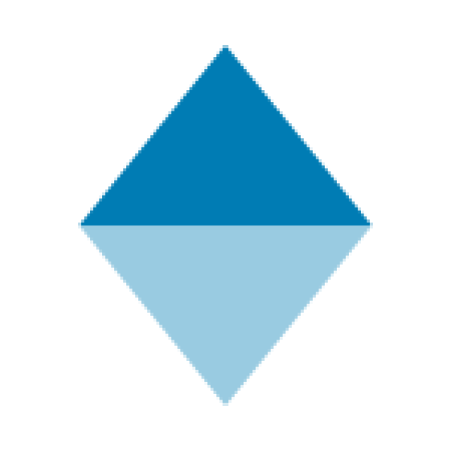 Blue diamond shaped bullet point