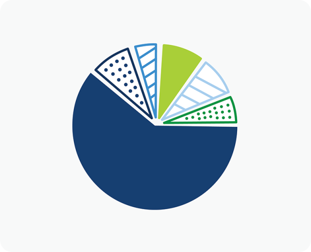 security selection pie chart