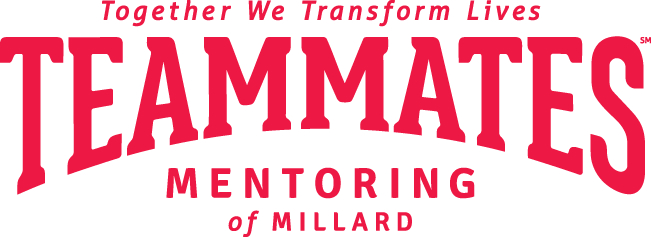 Teammates Mentoring Program